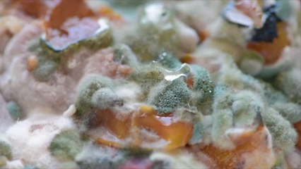 Foods That Go Bad Way Quicker Than You Would Expect
