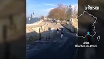 Un taureau s'échappe des arènes d'Arles et blesse une femme de 69 ans