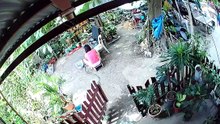 laba mode
