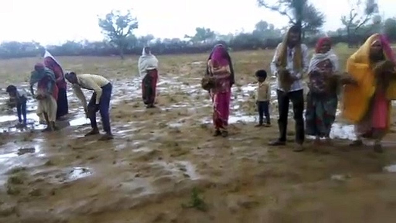 मौसम की अस्थिरता से फसलों के नुकसान की आशंका, 7...