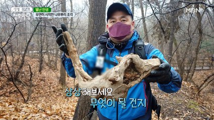 (∗❛ᴗ❛∗) 우연히 시작한 ⍋나무뿌리 조각!⍋