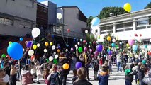 Le lâcher de ballons des enfants de l'école Saint-Régis