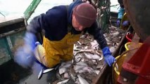 Продлены квоты европейских рыболовов после 