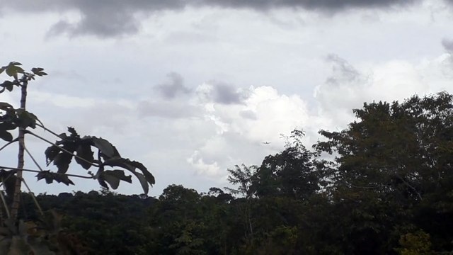 Airbus A330 PR-AIU na aproximação final antes de pousar em Manaus vindo de Campinas