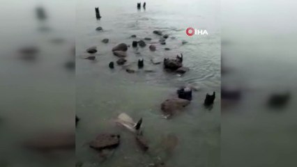 Sahilde yaşanan gelgit olayı kameralara yansıdı