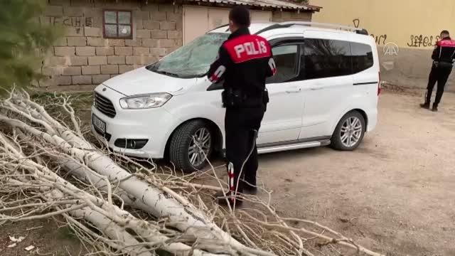 Şiddetli rüzgar nedeniyle devrilen ağaç bir otomobile zarar verdi