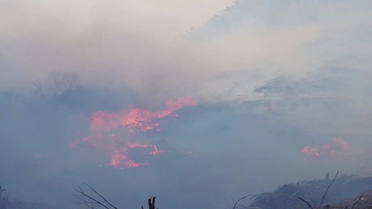 충북 충주시 수안보면 야산에서 산불..."담뱃불 실화 추정" / YTN