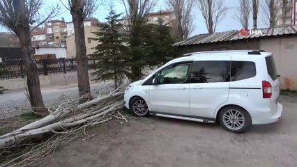 Şiddetli fırtınada ağaç otomobilin üzerine devrildi
