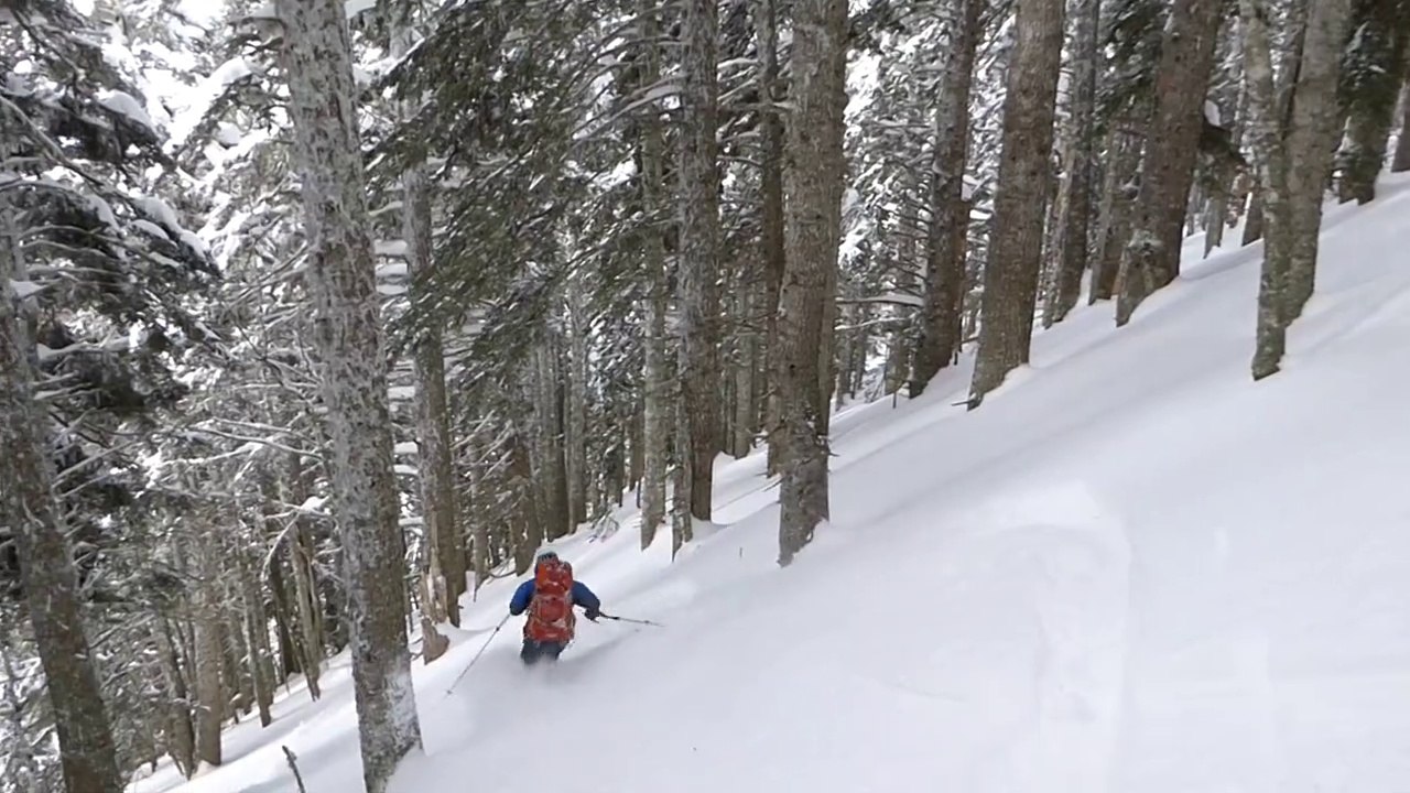 FREESKI Vath d’Aspa Ametsetako basoa…
