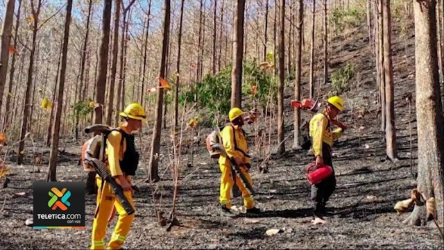 tn7-bomberos-continua-batallando-contra-incendio-en-nandayure-230321