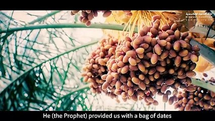 صحابي مقابل حوت - من أجمل القصص- الشيخ علي القرني