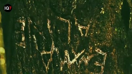 KOMPLOTAN PENJ4HAT YANG SALAH MEMILIH KORB4N - Alur Cerita Film N0 0NE L1VE5