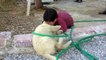 Köpeği ısıran çocuk, görenleri gülme krizine soktu