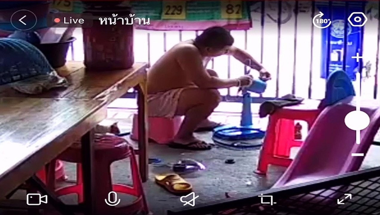 Attention Craving Kitty Keeps Man from Fixing Fan