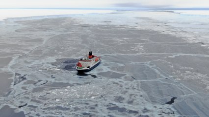 Un iceberg géant se détache, ils s’engouffrent et découvrent une vie sous-marine “grouillante”
