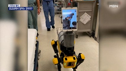 [굿모닝월드] 응급실에서 일하는 강아지?