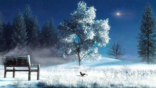 Relaxation Night Music | Piano Music and Cricket Sound | Best to Sleep at Night/Refreshing Mind