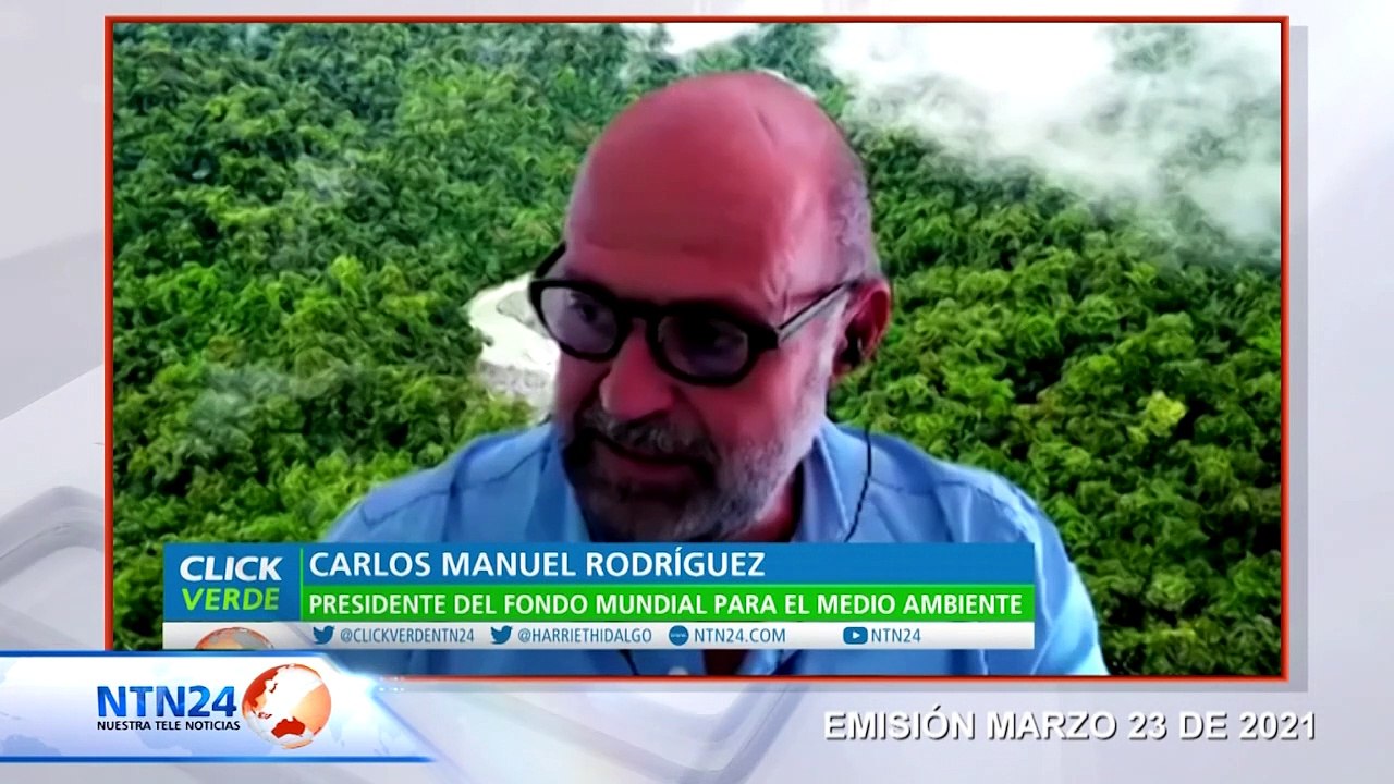 Estudio revela los terribles efectos del Covi-19 en los planes mundiales de protección de biodiversidad