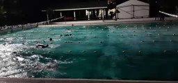 Swim Training