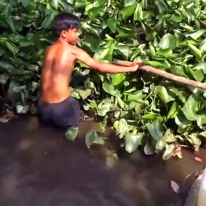 HOW TO CATCH FISH USING COCONUT 