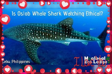 Cebu's Beautiful Places vol.3