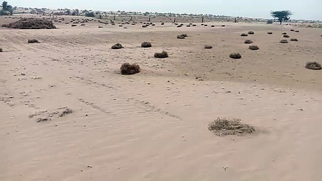 Video: दूसरे दिन भी चली तेज आंधी, हुई हल्की बूंदाबांदी