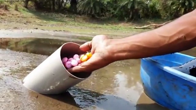 Unbelievable Fishing Technique New Style Fish Catching Underground Soft MudHoleFishing Video2021 | CreativeVilla.