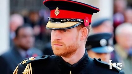 Prince Harry Secures New Job With Mental Health Firm _ E News