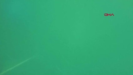 TRABZON Karadeniz'deki kirlilik için balık adamlar devrede