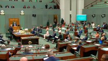 Independent MP pushing for amendments to Sex Discrimination Act