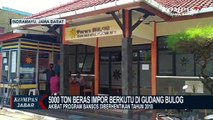 Bansos Dihentikan, Beras Impor 2018 Berkutu di Gudang Bulog