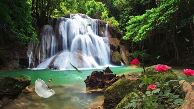 Waterfall Birds water