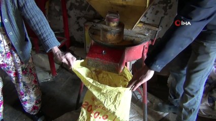 Sındırgı’da 55 yıldır doğal yöntemlerle susam yağı çıkarıyorlar