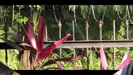 Quarantine made (forced) me cook  | Cooking Diary