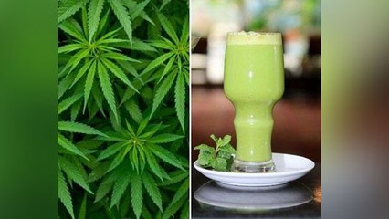 भांग नुकसानदायक होने के साथ ही सेहत के लिए फायदेमंद भी होती है, जाने इसके लाभ । Boldsky