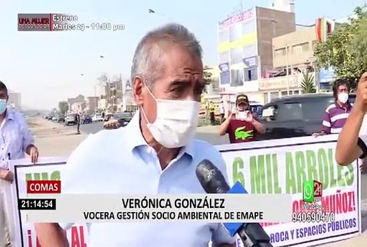 Comas: vecinos protestan porque quitaron 1.500 árboles para ampliación del Metropolitano