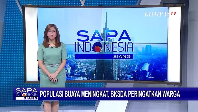 Populasi Buaya Meningkat, BKSDA Peringkatkan Warga Palu Jauhi Sungai dan Pantai