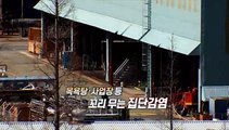 [영상구성] 일평균 지역 발생 411명 전국 확산세…화이자 백신 25만 명분 도착