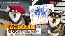 自己賺罐罐錢！ 柴犬「發揮藝術天分」咬畫筆繪自畫像