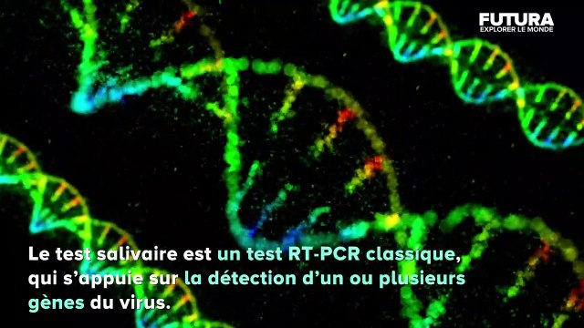 Comment fonctionne le test salivaire ? | Futura