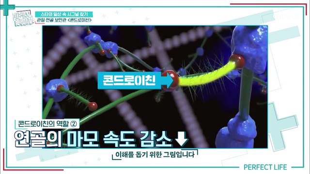 연골 & 관절 보안관 관절 건강에 좋은 ◆콘드로이친◆ TV CHOSUN 20210324 방송