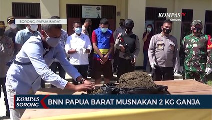 BNN Papua Barat Musnakan 2 Kg Ganja