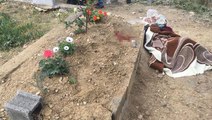 Yaşadığı acıya dayanamayan genç, bir gün önce hayatını kaybeden annesinin mezarı başında intihar etti