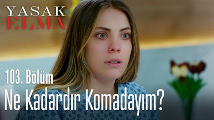 Ne kadardır komadayım? - Yasak Elma 103. Bölüm
