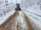 Ordu'da kardan kapanan 301 mahalle yolu açıldı