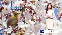 [날씨]내일 맑고 따뜻…서울 한낮 19도 ‘완연한 봄’