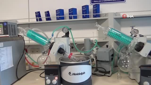 Prof. Dr. Halil İbrahim Uğraş: Propolis çok kullanıldığında fayda değil, zarar verir