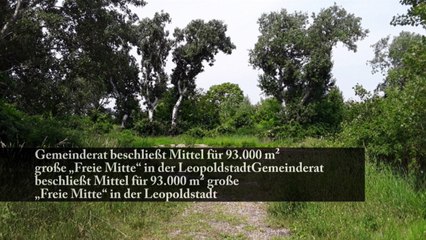 Am Nordbahnhof entsteht eine neue Stadtwildnis