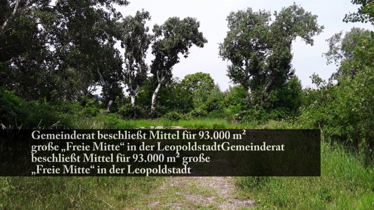 Am Nordbahnhof entsteht eine neue Stadtwildnis