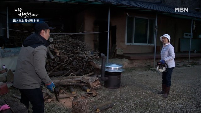 자연인 엔진 톱 장작 토막 사건…? 자연인의 달콤살벌한 장작 패기!